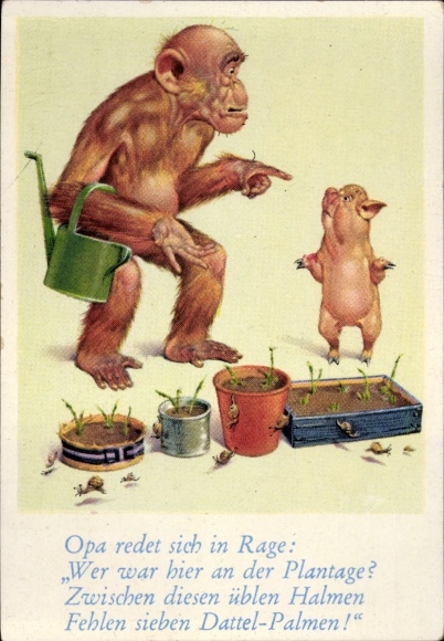 Collector's picture funny pictures No. 61, orangutan and pig as a gardener