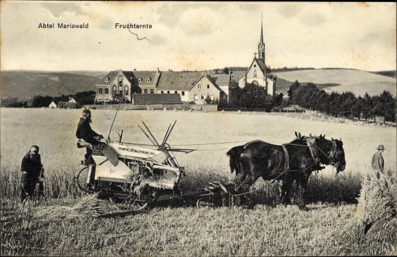 PC Heimbach in the Eifel, Mariawald Abbey, fruit harvest