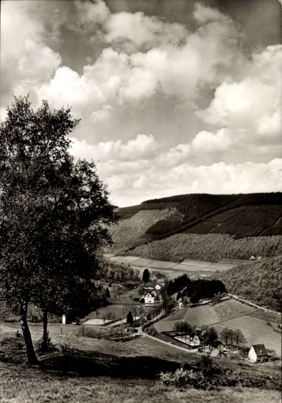 Ak Brauersdorf Netphen in Siegerland, Panorama, Gasthof Werthenbach