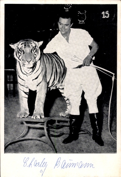 Postcard Charly Baumann with his Bengal tigers from the Circus Roland, Bremen, autograph