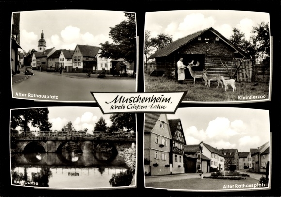 Postcard Muschenheim Lich in Hesse, town hall square, small animal zoo