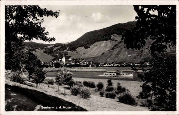 Postcard Sennheim on the Moselle, panorama, steamer