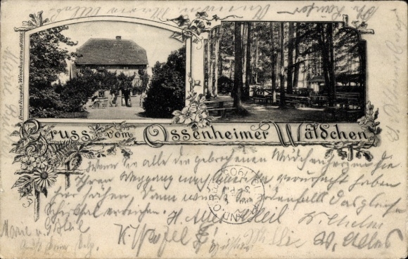 Postcard Ossenheim Friedberg in Hessen, Ossenheimer Wäldchen, guest house