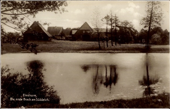 Ak Elmshorn in Sleeswijk-Holstein, uitzicht over de eerste breuk aan de zuidelijke dijk