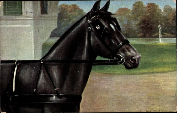 Artist PC Müller, August, black tense horse