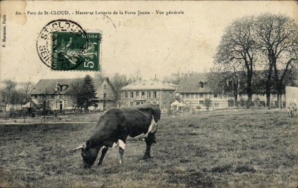 CPA Saint-Cloud Hauts-de-Seine, Haras et Laiterie de la Porte Jaune, Vue générale, bœuf