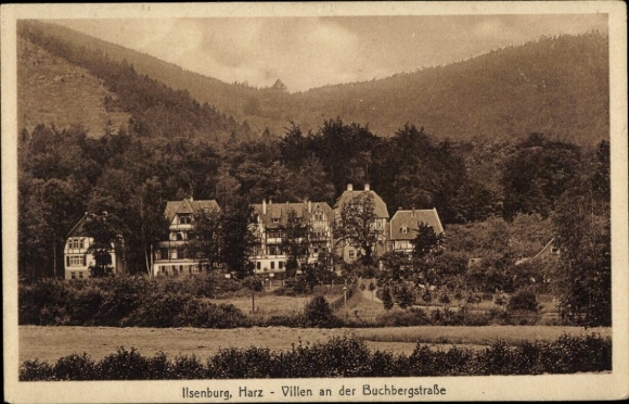 Ilsenburg in the Harz Mountains, villas on Buchbergstraße, green surroundings, architecture
