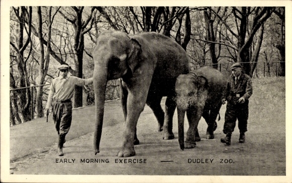 Ak Dudley Worcestershire England, Elefanten