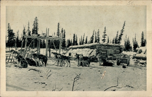 Ak Anchorage Alaska USA, sledehonden, houten huis, besneeuwd landschap, bomen