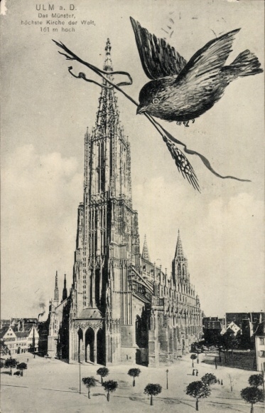 Postcard Ulm an der Donau, Münster, Spatz