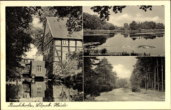 Ak Buchholz in de Noorderheide, bospad, molenvijver, Seppensen-molen
