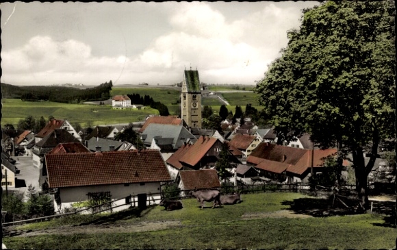 Ak Obergünzburg im Allgäu, Blick auf  landwirtschaftliches Umfeld, Kirche, Kühe