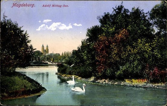 50 Ak Magdeburg Elbe, diverse Ansichten, kleinformatig