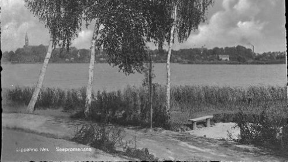 6 Negative Lippehne in der Neumark, Schloss, Kirche, Totalansicht