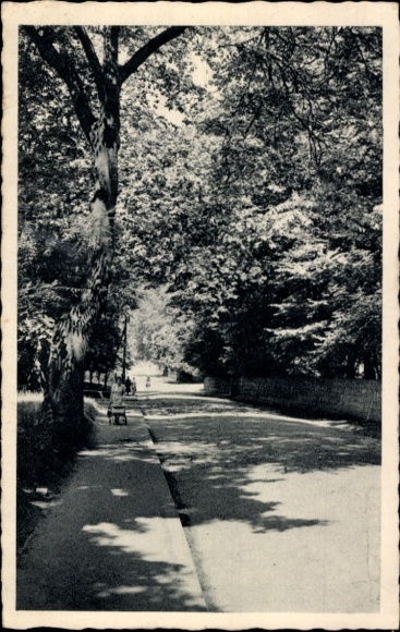 Postcard Wallerfangen Saar, view into von Papen Street