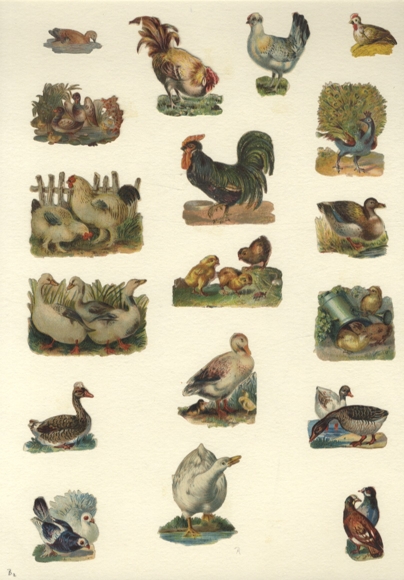 18 wafers chickens, ducks, pigeons, peacock, approx. 4.5 x 6 cm to 1.5 x 3 cm