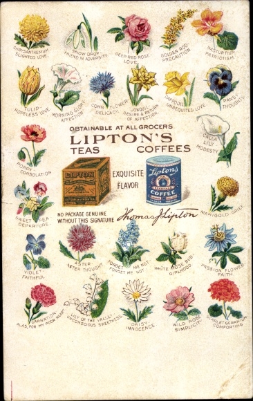 Artist Postcard Advertisement Lipton&#39;s Tea and Coffee, Aster, Poppies, Pansies, Snowdrops