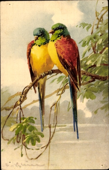 Artist Postcard Klein, C., Two parrots on the branch