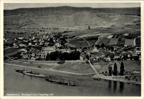 Ak Hattenheim Eltville am Rhein Hessen, Luftaufnahme von  Rhein, Weinberge, Schiffe