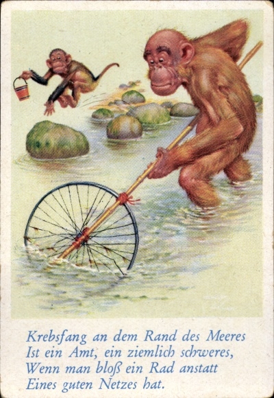 Collector's picture funny pictures No. 6, orangutan catches crabs in the sea