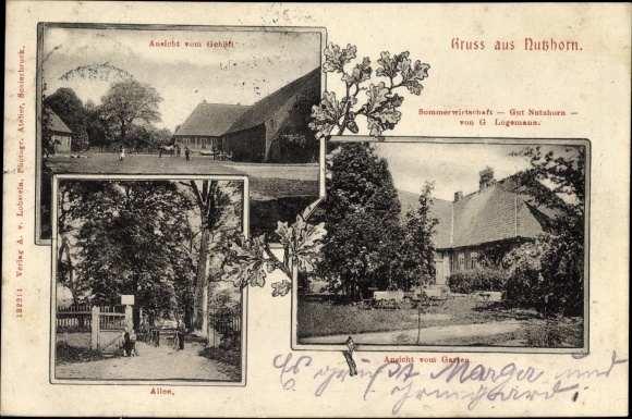 Postcard Ganderkesee in Lower Saxony, summer economy Gut Nutzhorn, G. Logemann