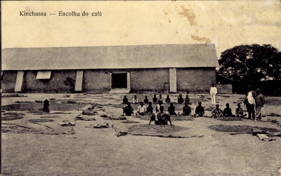 Ak Kinshasa DR Kongo Zaire, Escolha do cafe
