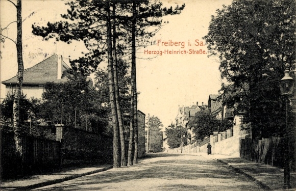 Ak Freiberg in Sachsen, Herzog Heinrich Straße