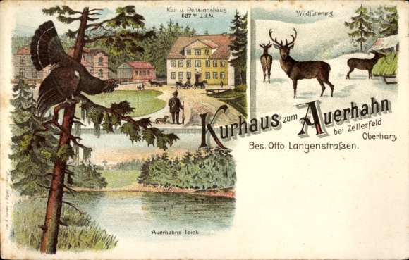 Chromo-Litho Clausthal Zellerfeld Oberharz, Kurhaus Auerhahn, deer in the snow, Auerhahnsteich, Auerhahn