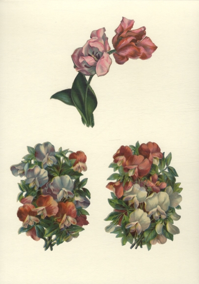 3 Oblaten Tulpen und Stiefmütterchen, ca. 12 x 12 cm und 12 x 8 cm