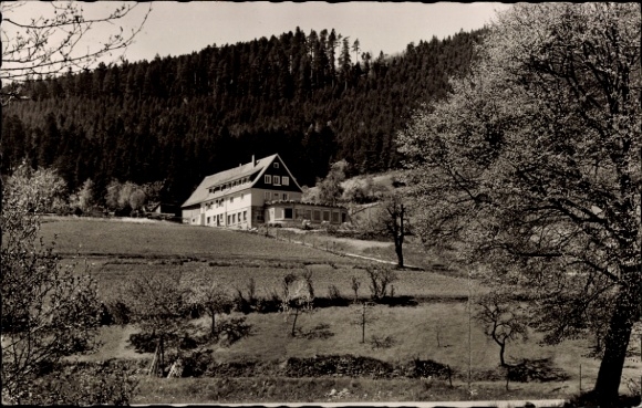 Postcard Enzklösterle in the Black Forest, Gasthaus Berghof, forest