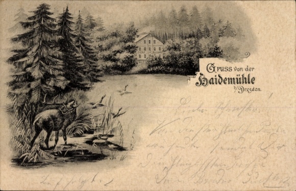 litho Dresden Langebrück, Haidemühle, Hirsch