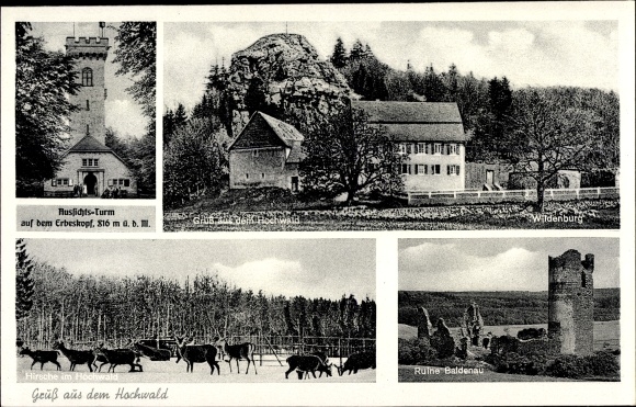 Postcard Hilscheid in Rhineland-Palatinate, observation tower on the Erbeskopf, high forest, Baldenau ruins