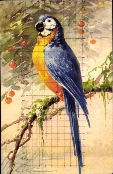 Artist Postcard Klein, Catharina, Colorful parrot sitting on a branch