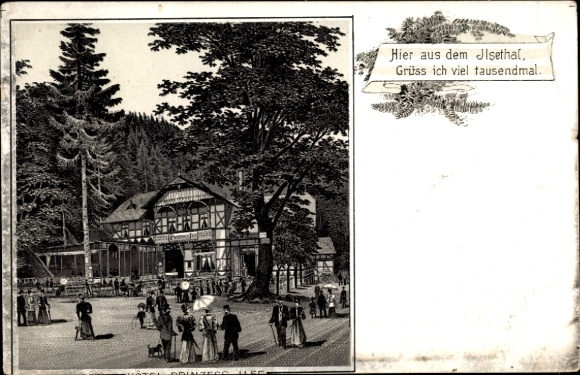 Chromo-Litho Ilsenburg am Nordharz, Hotel Prinzess Ilse