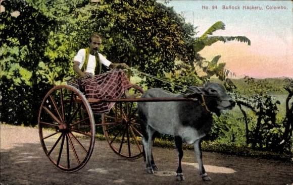 PC Ceylon Sri Lanka, cattle cart