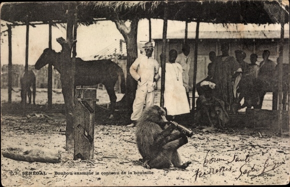 Postcard Senegal, Boubou examines the contents of the bottle