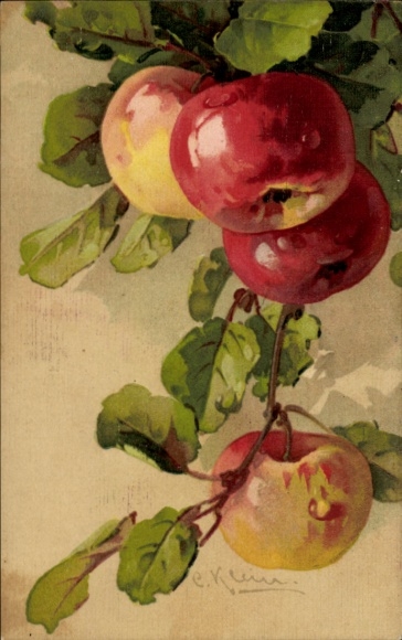 Artist Chromo-Litho Klein, Catharina, Apples