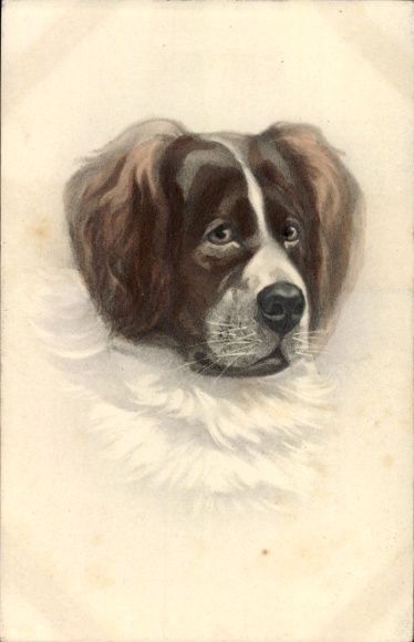Artist Postcard portrait of a St. Bernard