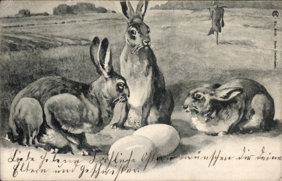 Ak Ostern, Osterhasen, Ostereier