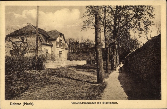 Postcard Dahme Mark, Victoria Promenade, City Wall