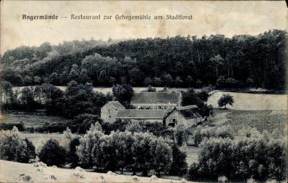 Ak Angermünde in der Uckermark, Restaurant zur Gehegemühle, Stadtforst
