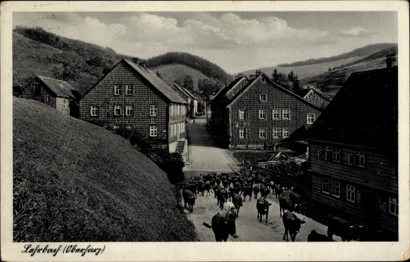 KP Lerbach Osterode am Harz, widok na miasto, krowy, domy
