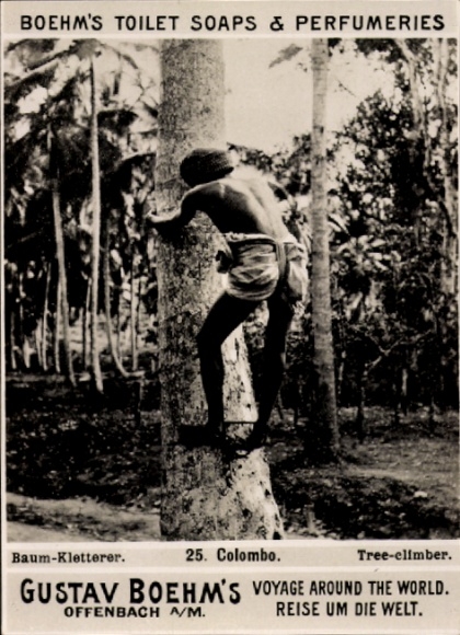 Photo Colombo Ceylon Sri Lanka, tree climber, advertising Boehm's Toilet Soaps