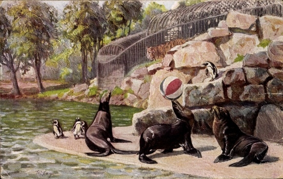Artist PC Dresden, zoological garden, sea lions, African penguins, Siberian tiger