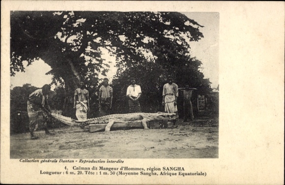 Ak Region Sangha Französisch Kongo, Caiman dir Mangeur d'Hommes, Kaiman, 6.20m Länge