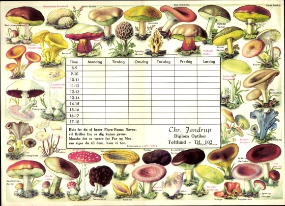 Rozkład jazdy optyk zegarmistrz Chr. Jandrup Toftlund Dania - grzyby flora-fauna około 1950 r.