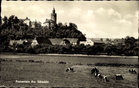 Postcard Posterstein in Altenburger Land, Posterstein Castle, town view, grazing cows