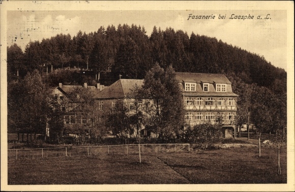 Ak Bad Laasphe in het district Siegen Wittgenstein, fazanterie