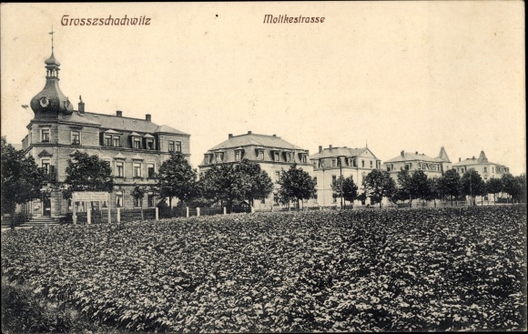 Briefkaart Dresden Leuben Großzschachwitz Zschachwitz, Moltkestrasse