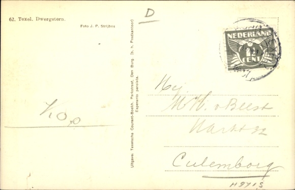 Postcard Texel North Holland Netherlands, Dwergstern